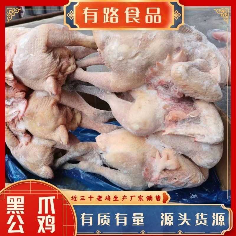 冷冻白条鸡厂家货源供应黑爪大公鸡用于整鸡深加工使用