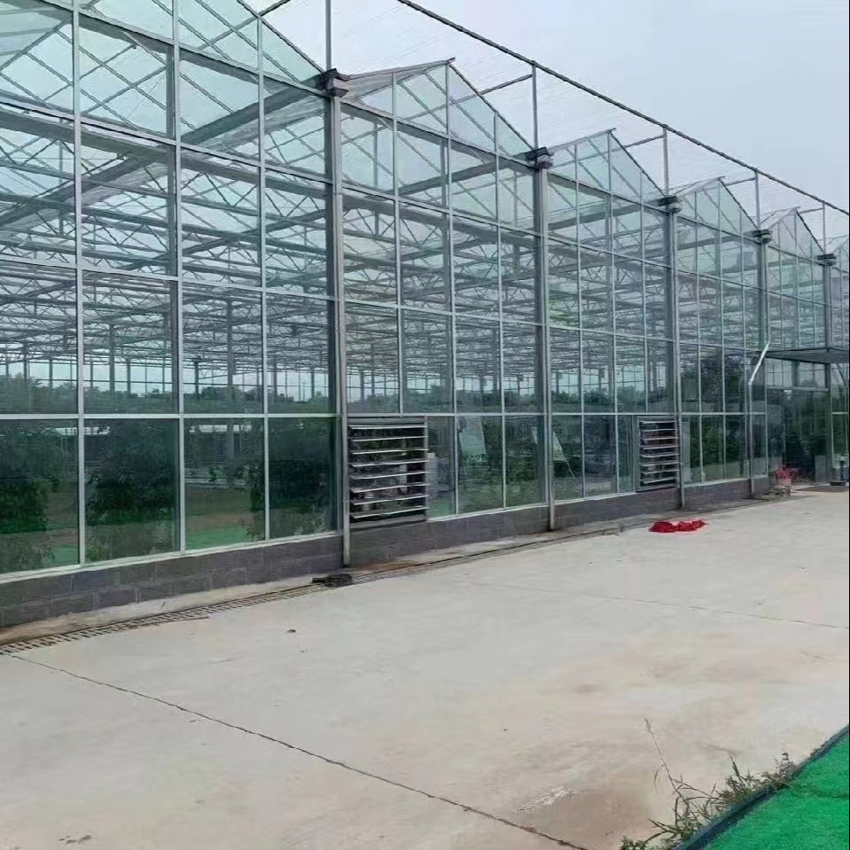 厂家直销新型智能玻璃温室，连栋蔬菜大棚,连体蔬菜大棚