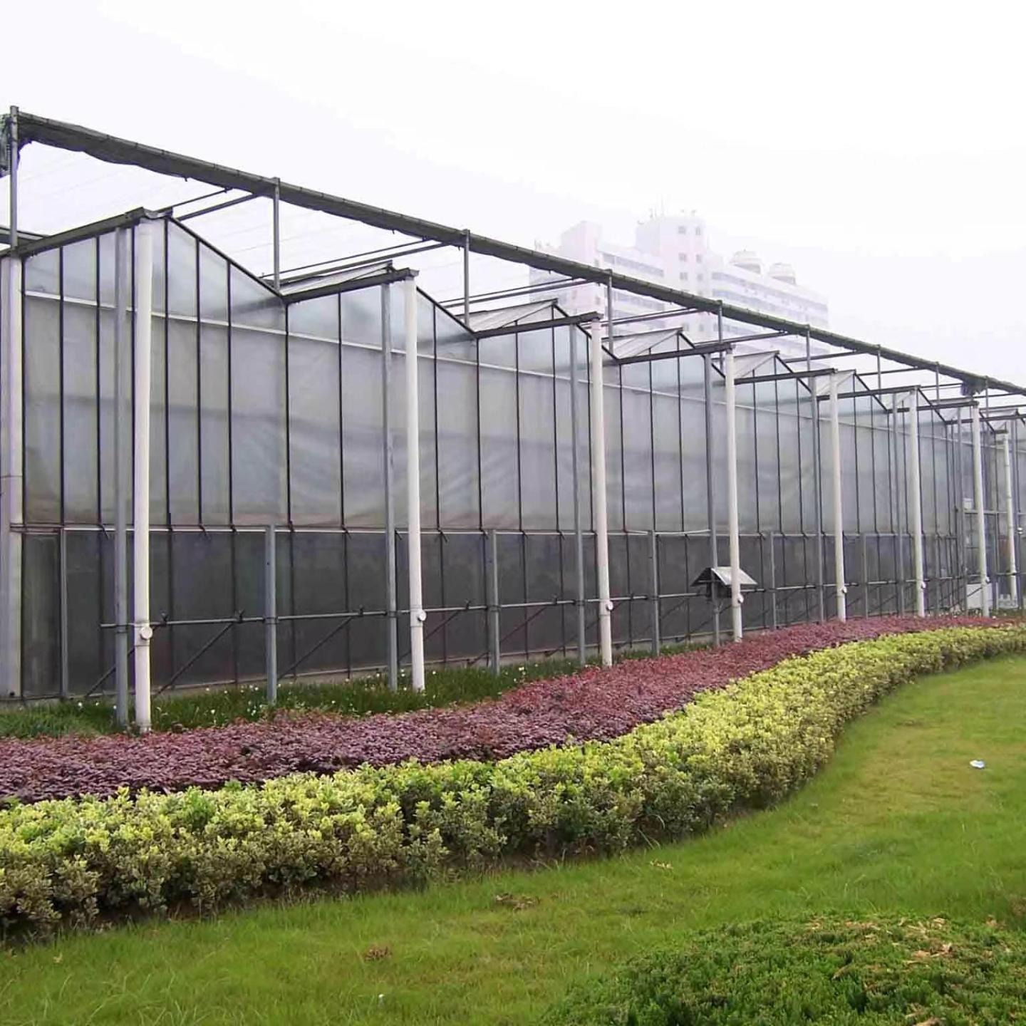 智能玻璃温室农业种植观光餐厅采摘园连栋玻璃大棚安装