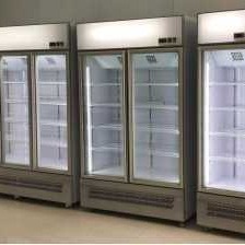 澳雪商用冰箱 LX-FC-1200立式风冷冷藏柜 双门风冷饮料展示柜
