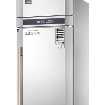 冰立方商用冰箱 RX欧款立式冰箱 大单门冷藏冰箱