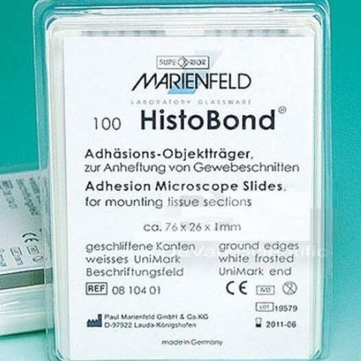 德国Marienfeld粘附载玻片型号:AP-0810401库号：M359079
